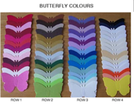 butterfly colours